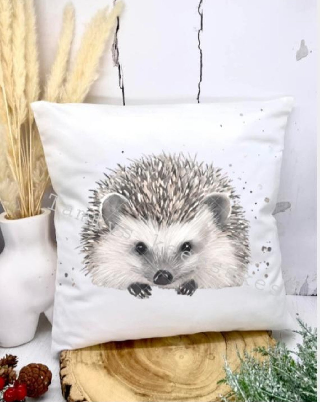 Hedgehog cushion