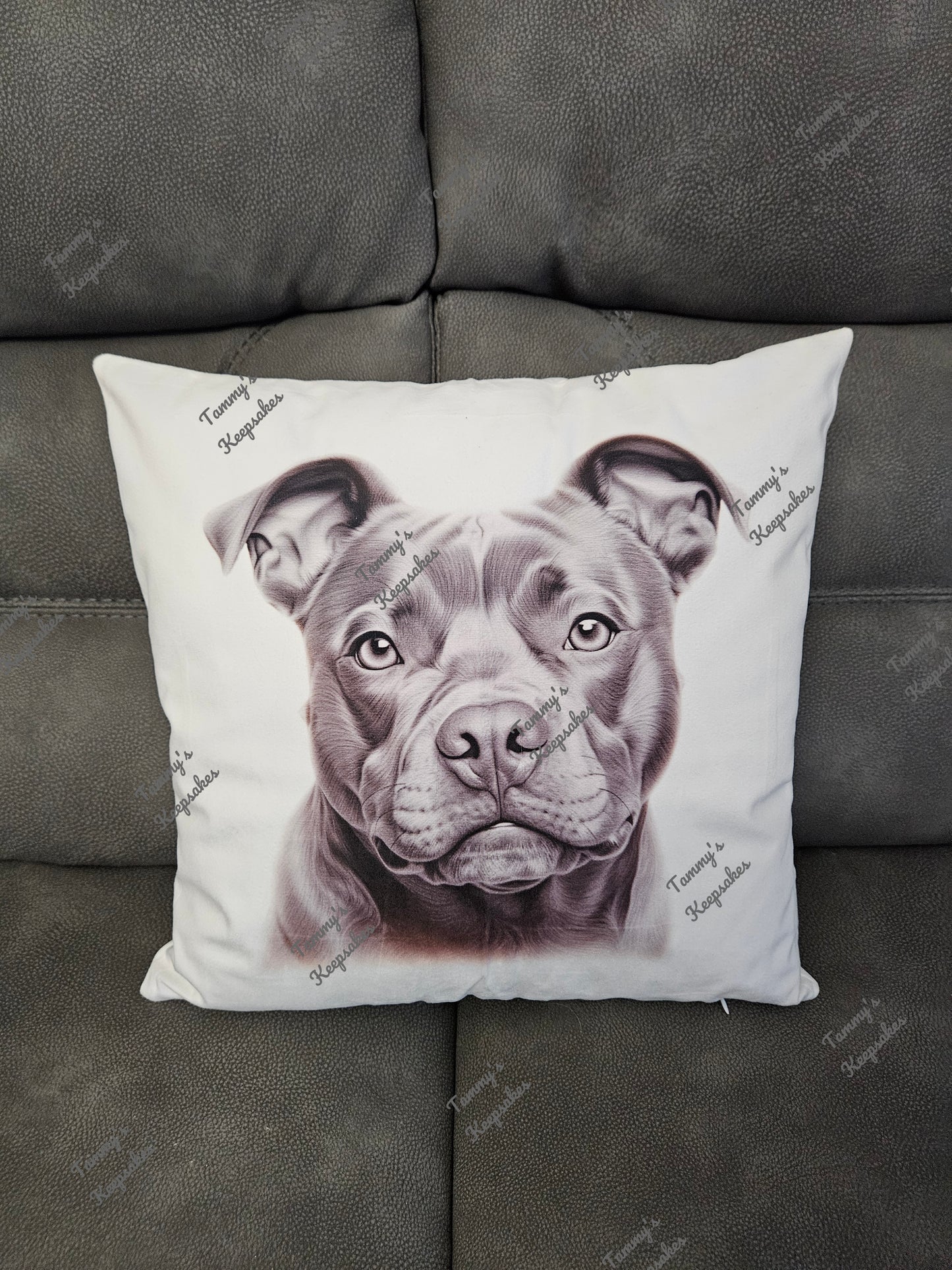 Sketchy staffy cushion