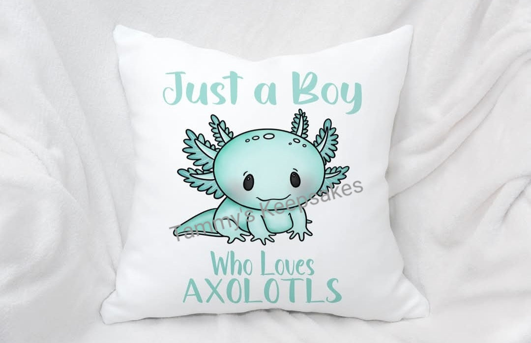Just a boy who loves axolotls cushion